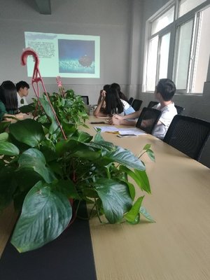 江蘇景寧信息技術(shù) 專業(yè)信息技術(shù)咨詢服務(wù)的領(lǐng)航者